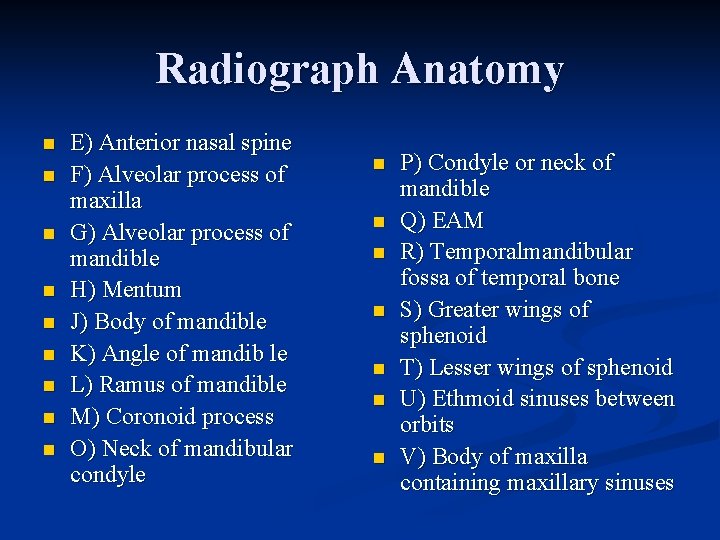 Radiograph Anatomy n n n n n E) Anterior nasal spine F) Alveolar process