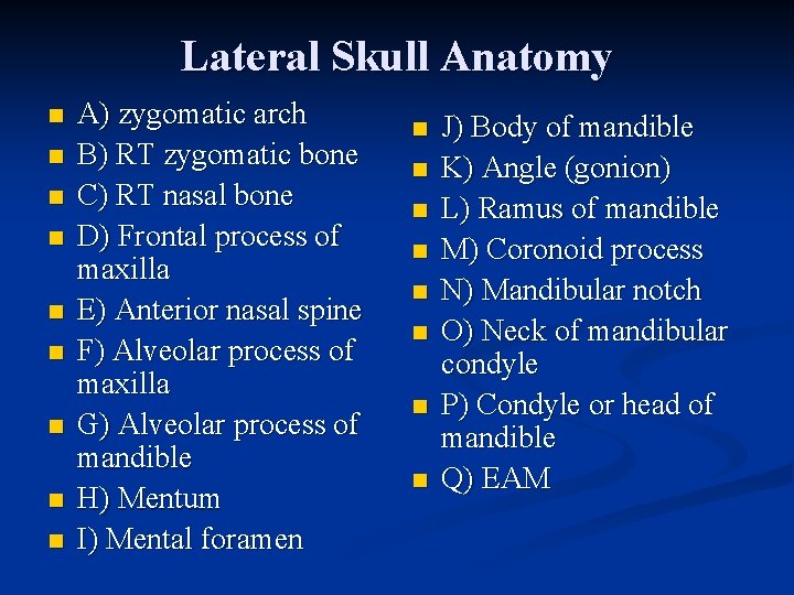 Lateral Skull Anatomy n n n n n A) zygomatic arch B) RT zygomatic