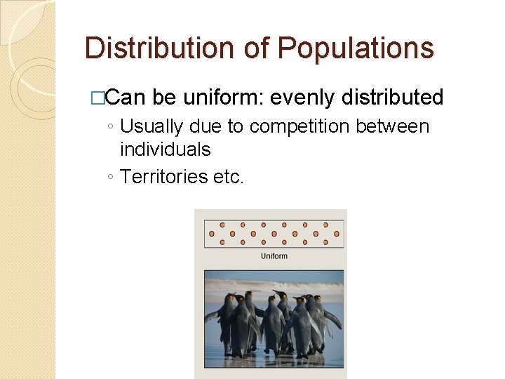 Distribution of Populations �Can be uniform: evenly distributed ◦ Usually due to competition between