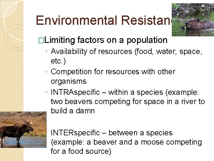 Environmental Resistance �Limiting factors on a population ◦ Availability of resources (food, water, space,