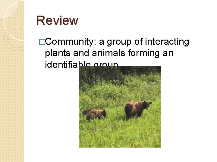 Review �Community: a group of interacting plants and animals forming an identifiable group 