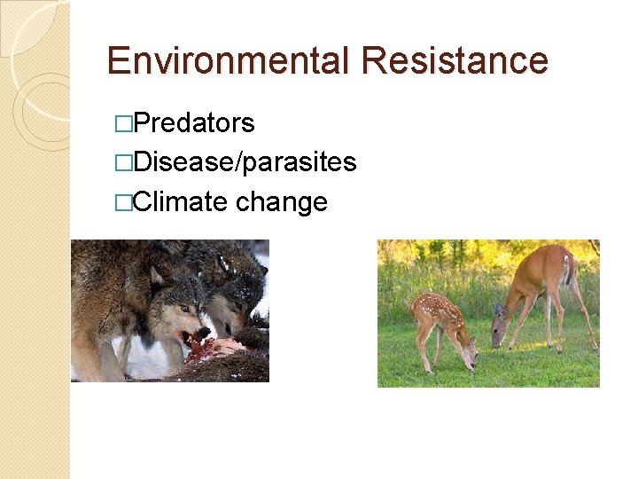 Environmental Resistance �Predators �Disease/parasites �Climate change 