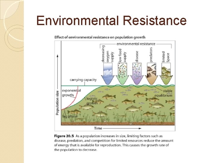 Environmental Resistance 