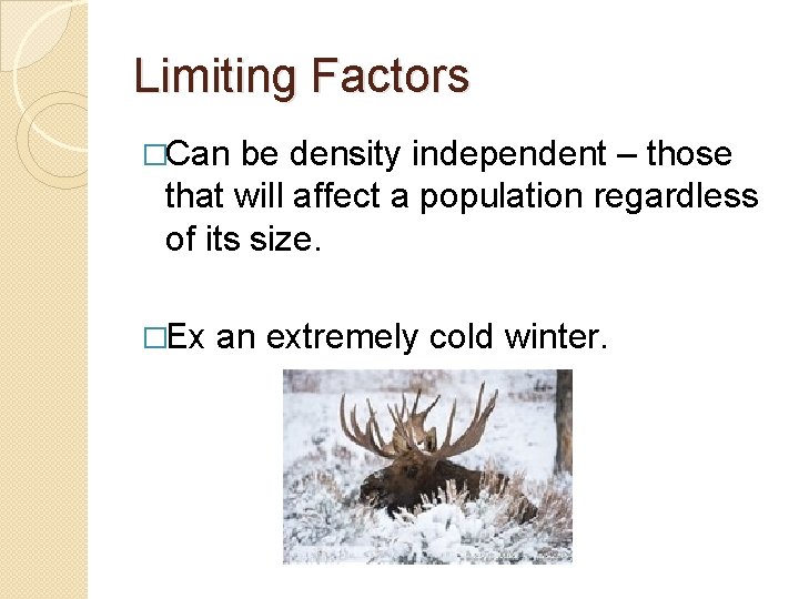 Limiting Factors �Can be density independent – those that will affect a population regardless