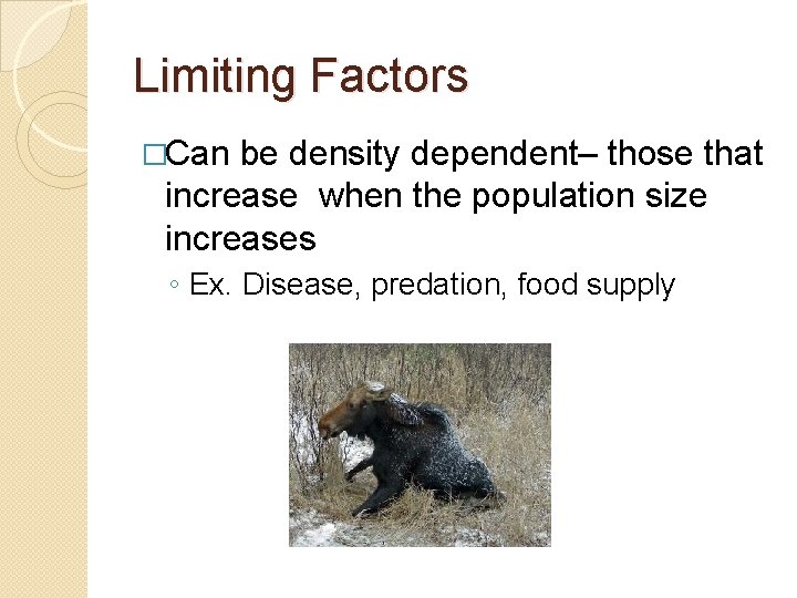 Limiting Factors �Can be density dependent– those that increase when the population size increases