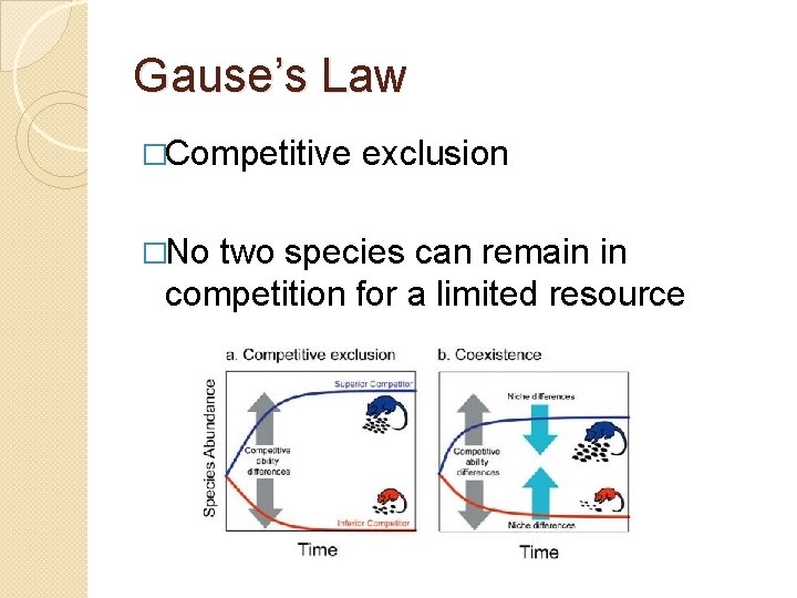 Gause’s Law �Competitive �No exclusion two species can remain in competition for a limited