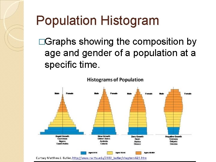 Population Histogram �Graphs showing the composition by age and gender of a population at