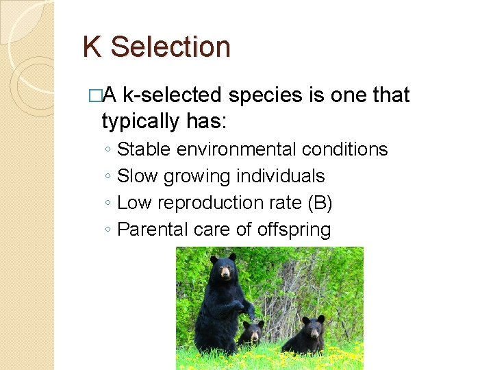 K Selection �A k-selected species is one that typically has: ◦ ◦ Stable environmental