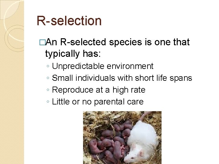 R-selection �An R-selected species is one that typically has: ◦ ◦ Unpredictable environment Small