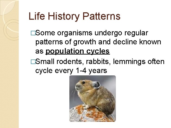 Life History Patterns �Some organisms undergo regular patterns of growth and decline known as