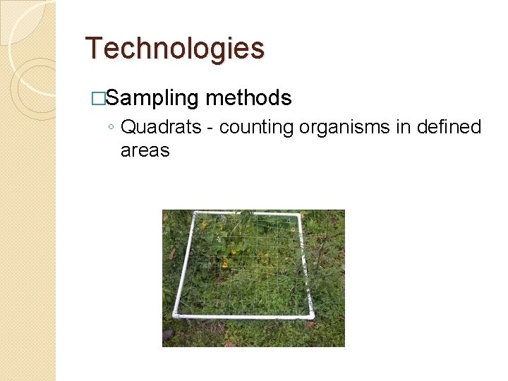 Technologies �Sampling methods ◦ Quadrats - counting organisms in defined areas 