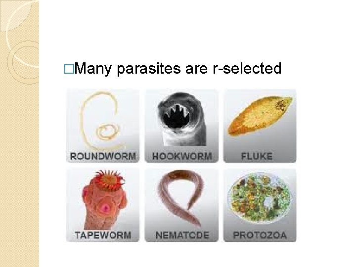 �Many parasites are r-selected 