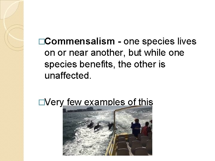 �Commensalism - one species lives on or near another, but while one species benefits,
