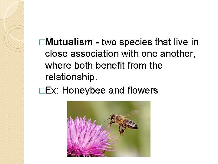 �Mutualism - two species that live in close association with one another, where both