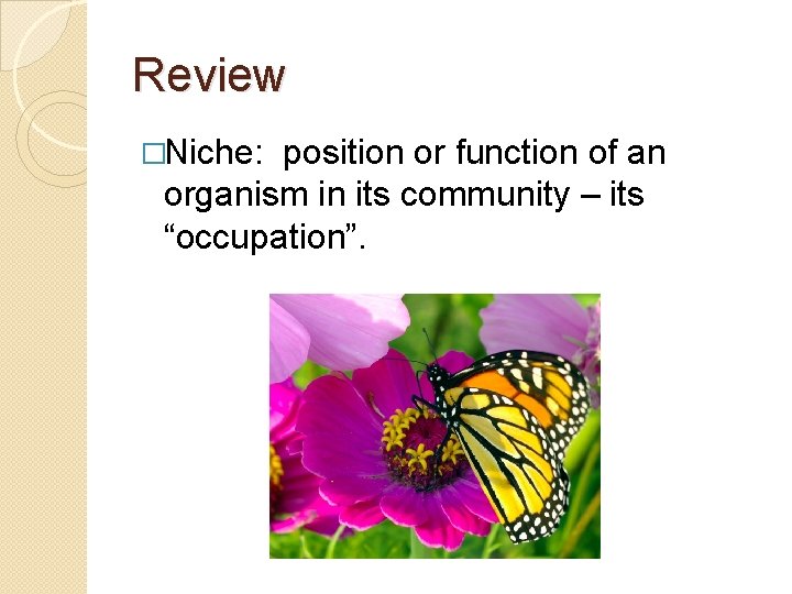 Review �Niche: position or function of an organism in its community – its “occupation”.