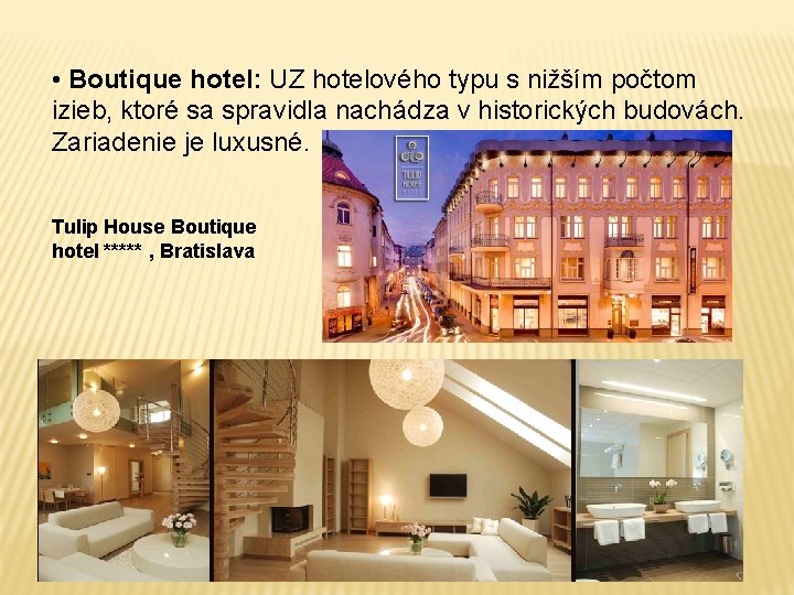  • Boutique hotel: UZ hotelového typu s nižším počtom izieb, ktoré sa spravidla