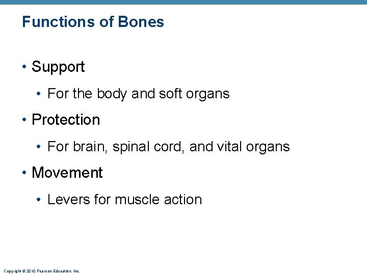 Functions of Bones • Support • For the body and soft organs • Protection