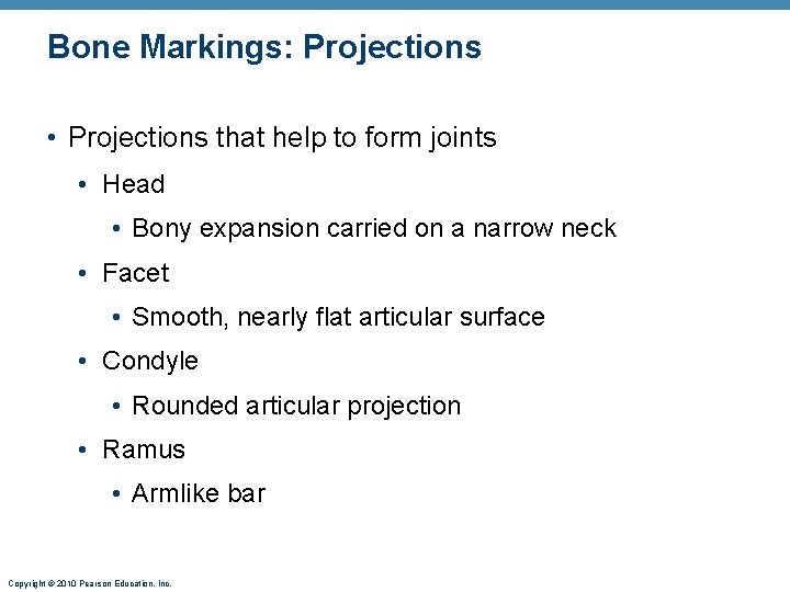Bone Markings: Projections • Projections that help to form joints • Head • Bony
