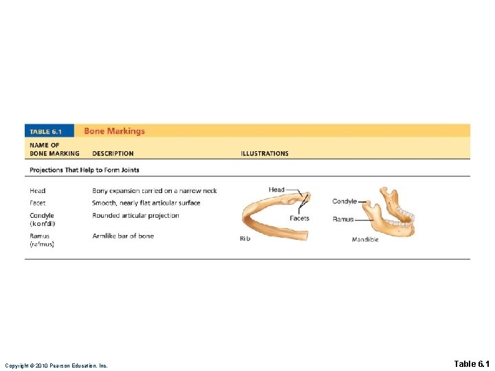 Copyright © 2010 Pearson Education, Inc. Table 6. 1 