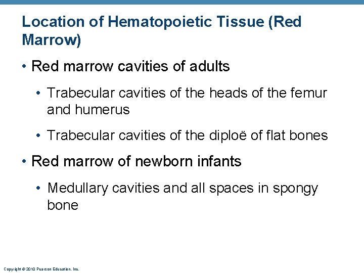 Location of Hematopoietic Tissue (Red Marrow) • Red marrow cavities of adults • Trabecular