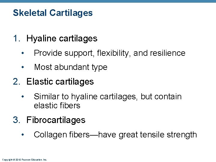 Skeletal Cartilages 1. Hyaline cartilages • Provide support, flexibility, and resilience • Most abundant