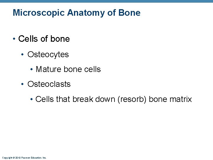 Microscopic Anatomy of Bone • Cells of bone • Osteocytes • Mature bone cells