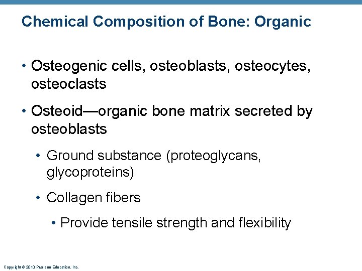 Chemical Composition of Bone: Organic • Osteogenic cells, osteoblasts, osteocytes, osteoclasts • Osteoid—organic bone