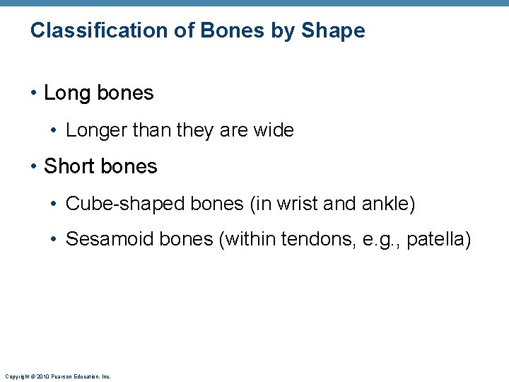 Classification of Bones by Shape • Long bones • Longer than they are wide