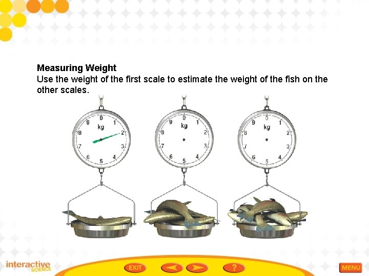 Measuring Weight Use the weight of the first scale to estimate the weight of