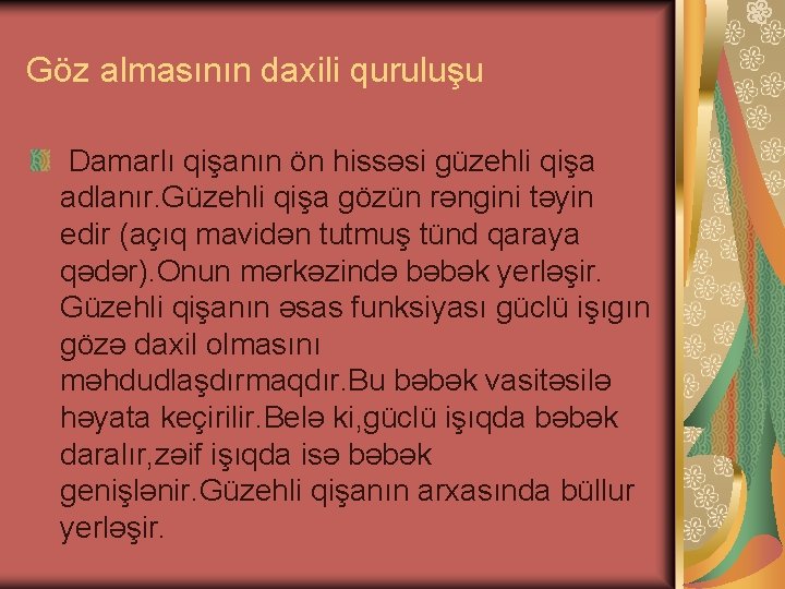 Göz almasının daxili quruluşu Damarlı qişanın ön hissəsi güzehli qişa adlanır. Güzehli qişa gözün