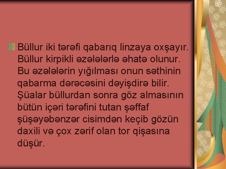 Büllur iki tərəfi qabarıq linzaya oxşayır. Büllur kirpikli əzələlərlə əhatə olunur. Bu əzələlərin yığılması