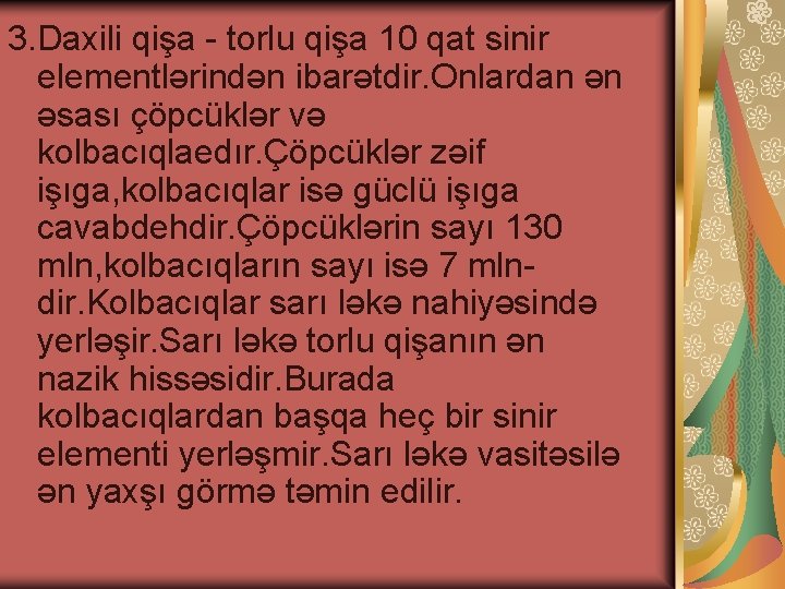 3. Daxili qişa - torlu qişa 10 qat sinir elementlərindən ibarətdir. Onlardan ən əsası