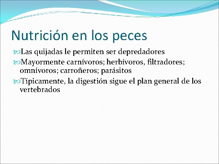 Nutrición en los peces Las quijadas le permiten ser depredadores Mayormente carnívoros; herbívoros, filtradores;