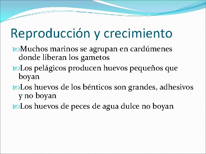 Reproducción y crecimiento Muchos marinos se agrupan en cardúmenes donde liberan los gametos Los