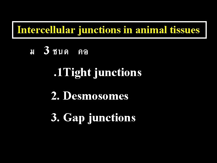 Intercellular junctions in animal tissues ม 3 ชนด คอ. 1 Tight junctions 2. Desmosomes