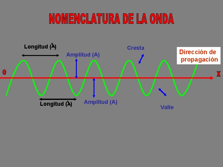 Longitud ( ) Cresta Dirección de propagación Amplitud (A) Longitud ( ) Amplitud (A)