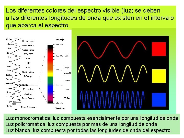 Los diferentes colores del espectro visible (luz) se deben a las diferentes longitudes de