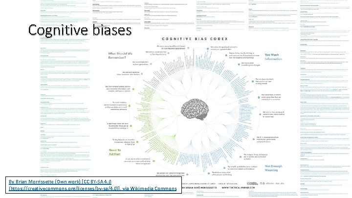 Cognitive biases By Brian Morrissette (Own work) [CC BY-SA 4. 0 (https: //creativecommons. org/licenses/by-sa/4.