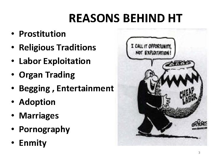 REASONS BEHIND HT • • • Prostitution Religious Traditions Labor Exploitation Organ Trading Begging