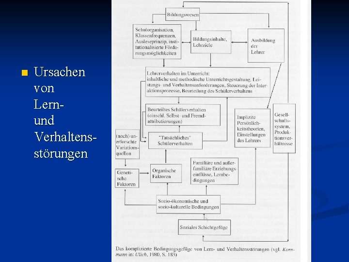 n Ursachen von Lern- und Verhaltensstörungen 