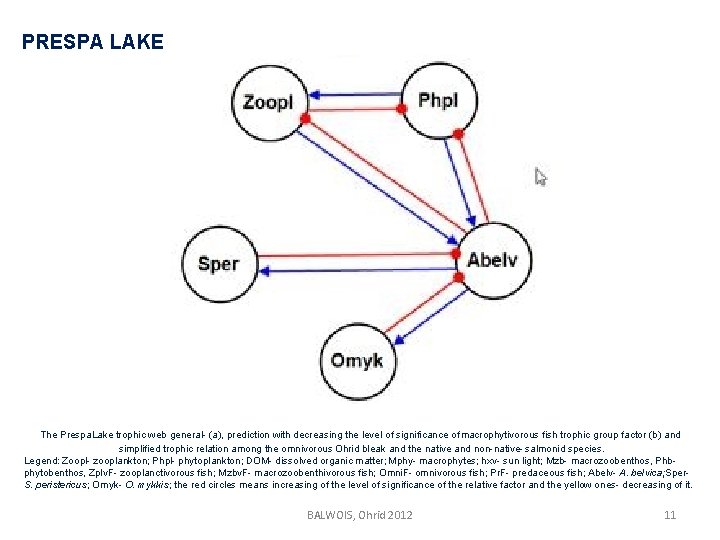 PRESPA LAKE The Prespa. Lake trophic web general- (a), prediction with decreasing the level