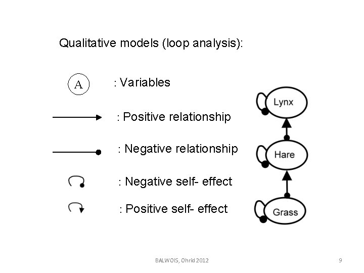 Qualitative models (loop analysis): A : Variables : Positive relationship : Negative self- effect