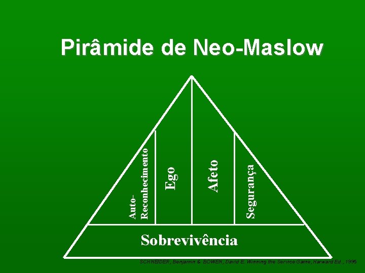 Segurança Afeto Ego Auto. Reconhecimento Pirâmide de Neo-Maslow Sobrevivência SCHNEIDER, Benjamin & BOWEN, David