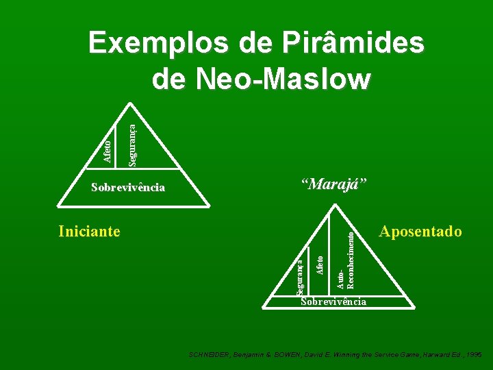 Segurança Sobrevivência “Marajá” Afeto Segurança Iniciante Auto. Reconhecimento Afeto Exemplos de Pirâmides de Neo-Maslow