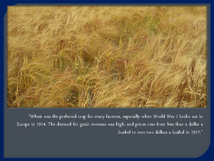 “Wheat was the preferred crop for many farmers, especially when World War I broke