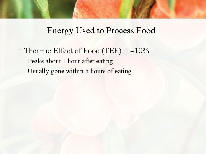 Energy Used to Process Food = Thermic Effect of Food (TEF) = 10% Peaks