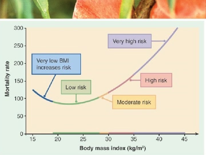 BMI vs Mortality 