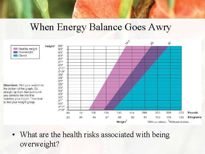 When Energy Balance Goes Awry • What are the health risks associated with being