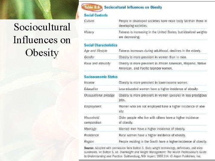 Sociocultural Influences on Obesity 