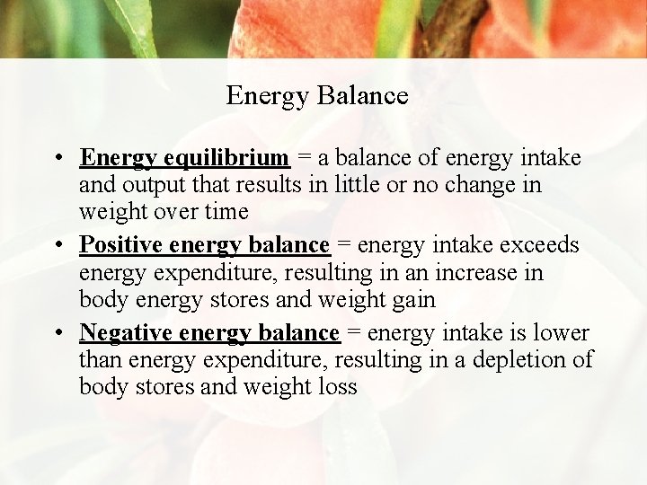 Energy Balance • Energy equilibrium = a balance of energy intake and output that